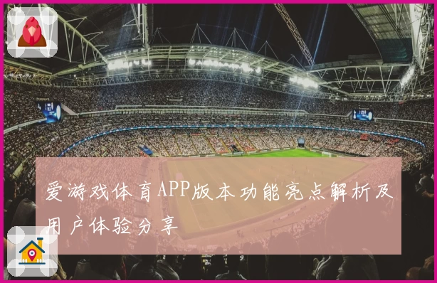 爱游戏体育APP版本功能亮点解析及用户体验分享